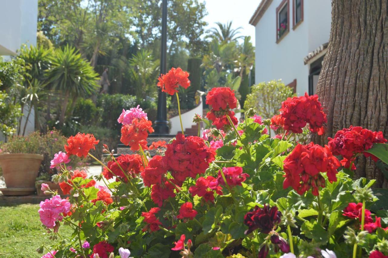Puebla Agata Lägenhet Marbella Exteriör bild